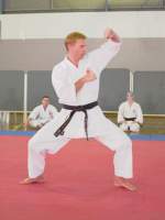 Karate Stance