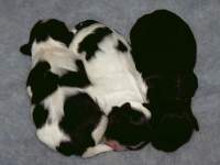 5 Days Old